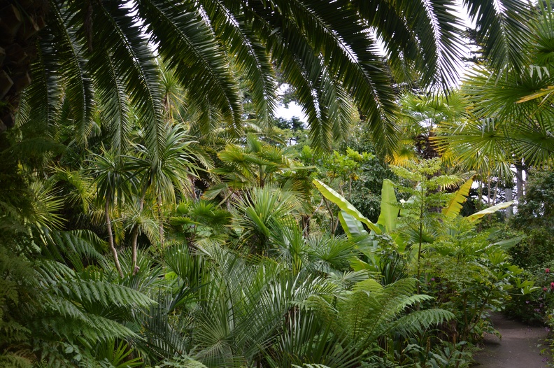 Jardin G. Delaselle