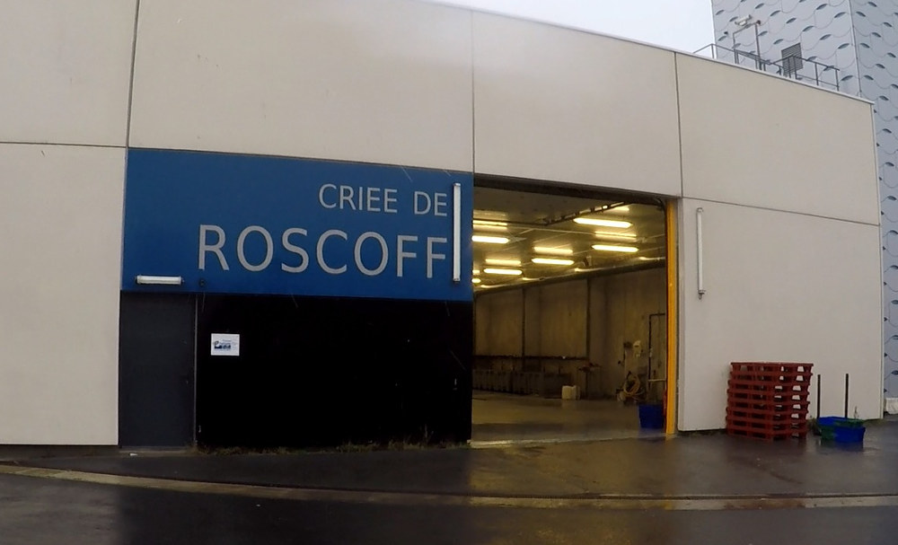 Visite des coulisses de la Criée de Roscoff